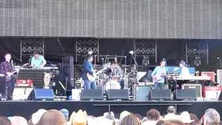 WILCO  - Laminated Cat - Bonnaroo 2013
