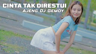 Download lagu DJ CINTA TAK DIRESTUI | Ajeng Dj Gemoy mp3