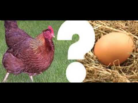 Vikend akcija u konzumu...