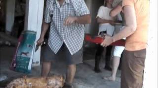 preview picture of video 'Lamb roast for Easter 2010 in Ano Korakiana'