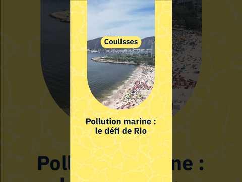 Urgence : dépolluer la baie de Guanabara