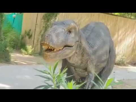 Satbir Chandigarh || in Chhatbir🦖🦖 zoo Chandigarh|| Famous place in Chandigarh 🦖🦖