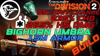 Division 2 Bighorn Umbra PvP Build 2025 | 55% Crit Chance, 235% Crit DMG, 265% Headshot!