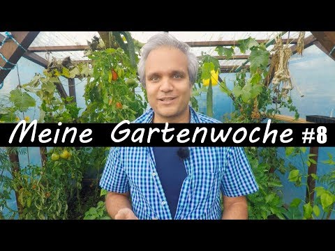 Wie krank mit chronischer Prostatitis Prostata bezini davolash hakida