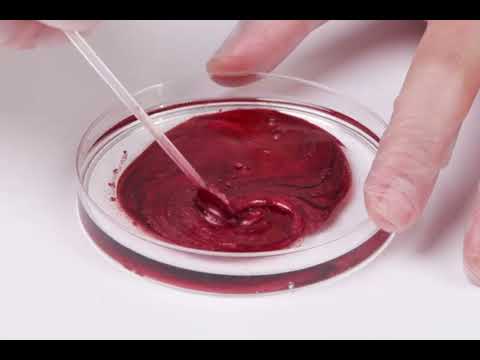 Vino crveni metalik pigment EPODEX