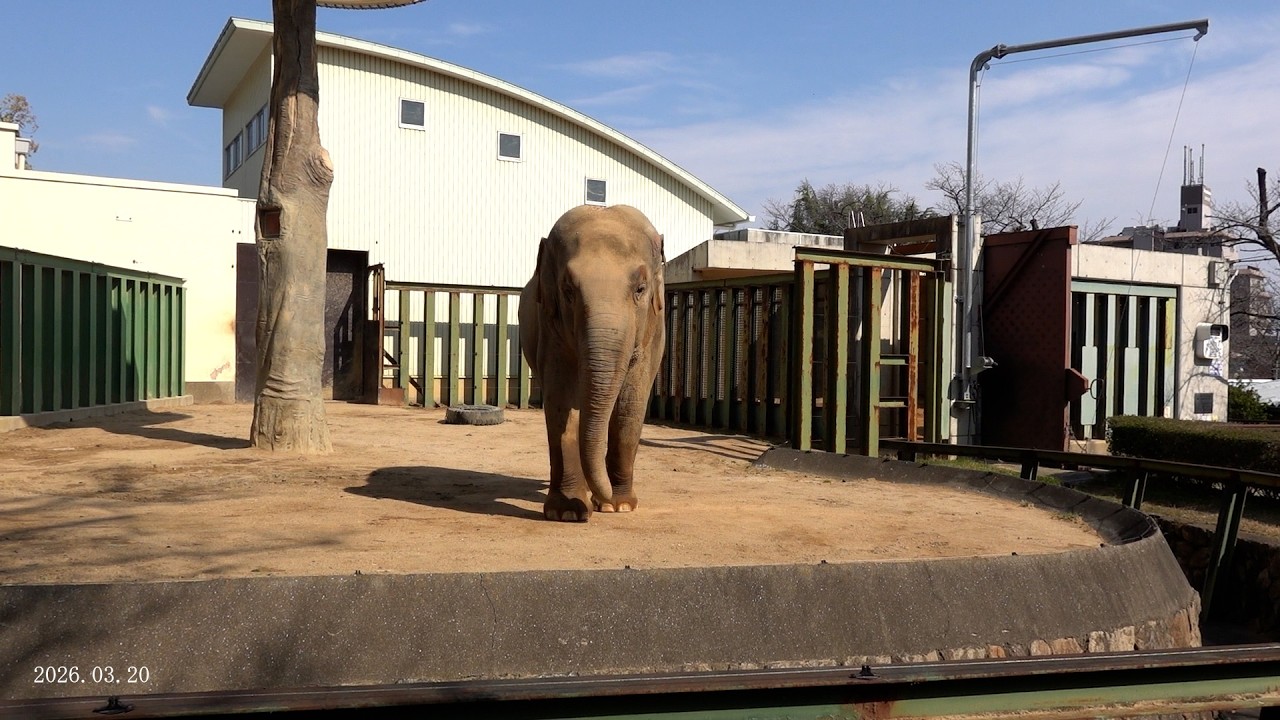 2026.03.20 14:33 ズゼ こんにちは