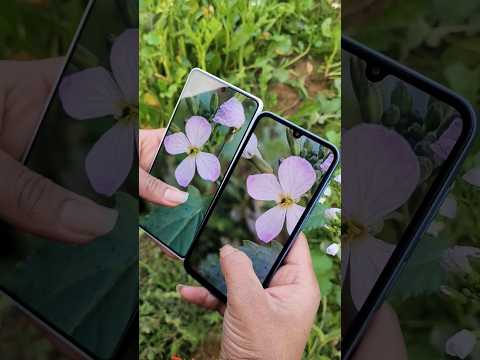 Samsung A15 Vs Redmi Note 13 Camera test Camera Comparison #cameratest #camera #shorts
