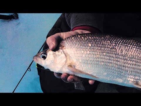 DWO S1 E2: Lake Superior Jig and Deadstick