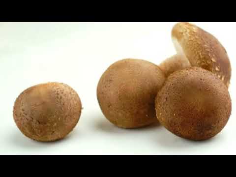 Frozen shiitake mushrooms