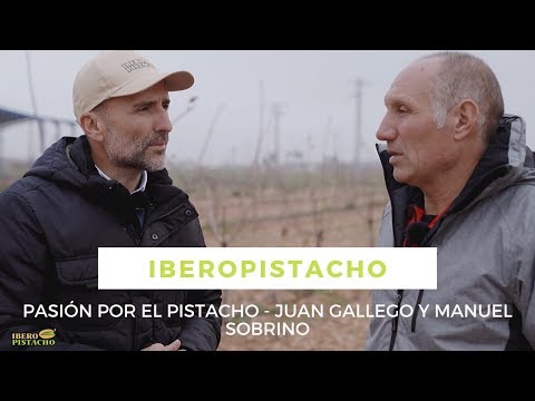 , title : 'Pasión por el pistacho - Entrevista a Manuel Sobrino - IberoPistacho'