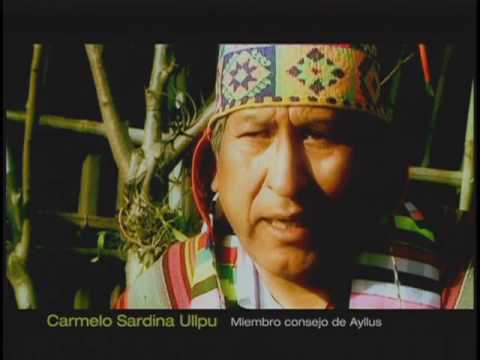 La Otra Puerta (con Fabio Zerpa) - CHAMANES - 2002