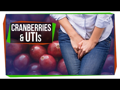 The Truth About Cranberry and UTIs