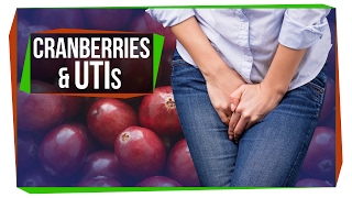 The Truth About Cranberry and UTIs