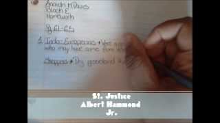 St. Justice- Albert Hammond, Jr. (Fan Music Video)