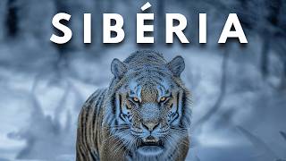 SIBÉRIA: Território Extremo [Documentário Completo]