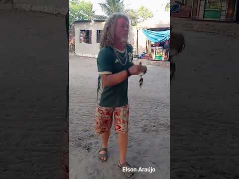 #Urbano Santos Maranhão 🇧🇷