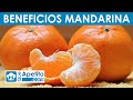 8 Propiedades y Beneficios de la Mandarina | QueApetito