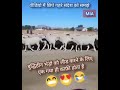 Mera Gadha Gadho Ka Leader