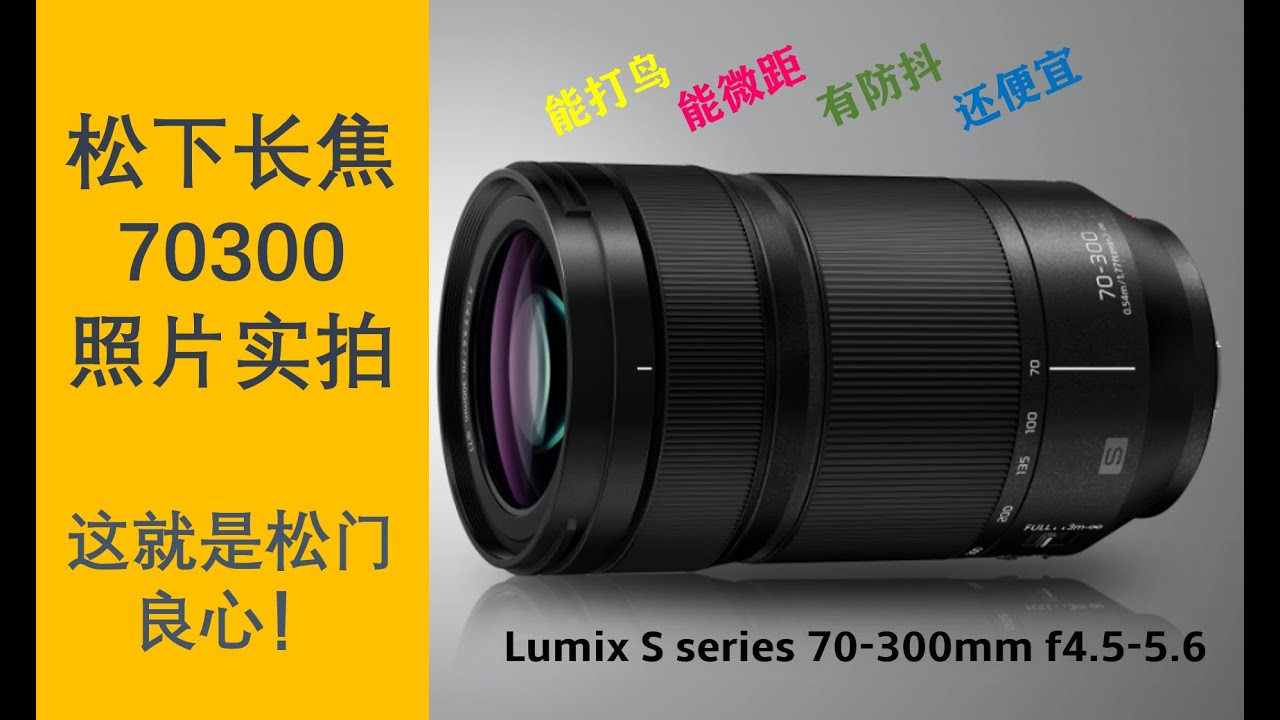 可能是松下全画幅长焦镜头的最优选？ Lumix S series 70-300mm 实拍照片分享 Best panasonic tele lens Lumix 70-300mm