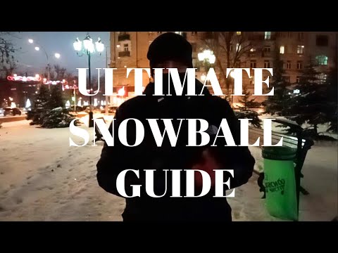 THE ONLY SNOWBALL GUIDE YOU'LL EVER NEED