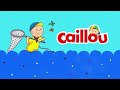 Caillou Cartoonito Bumper