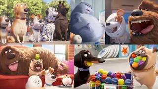 Download lagu The Secret Life of Pets Commercials Compilation All Illumination Ads Review mp3
