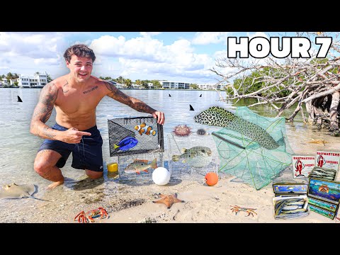 Using FISH TRAPS to Catch SEA CREATURES for My AQUARIUM!!