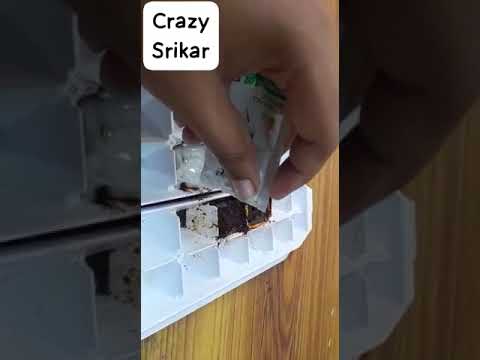 Making Ice Cubes With :- Shampoo &  Coffee powder ||