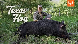 Texas Hog Hunting with Tyler and K.C.