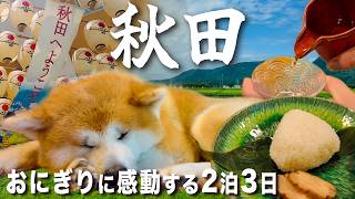 【秋田Vlog🐕】おいしい秋田をめぐるグルメ旅。どこかにビューーン！の抽選で旅先決めてみた！定番観光スポットも（角館・乳頭温泉・田沢湖・大曲花火）