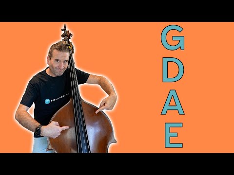 3.1 Die vier offenen Saiten: Namen und Reihenfolge