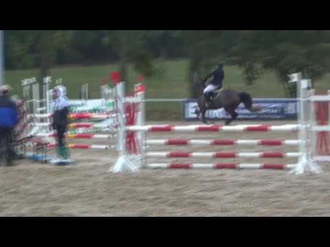 Sportpferde Matthias Keil - Core