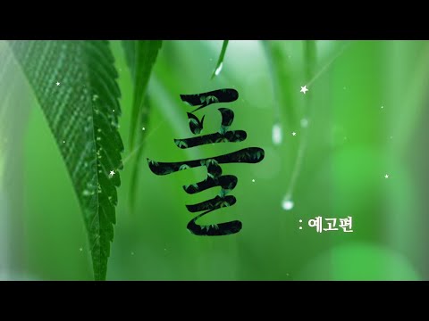 다큐멘터리 '풀' 예고편 예고편