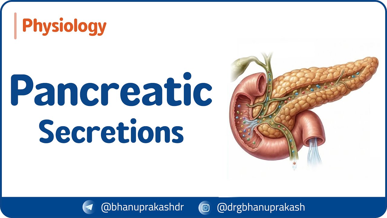 5. Pancreatic Secretions | GI Physiology | USMLE Step 1
