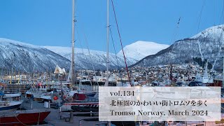 🐾北極圏のかわいい街トロムソ🇳🇴を歩く🐾 2024年3月のノルウェー旅 Day 0&1【vol.134トロムソ/ ノルウェー】