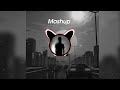 Feel The Cheque Mashup Shubh Ft Parmish Verma X Paradox X Dj Rash King Check Kar X Cheque