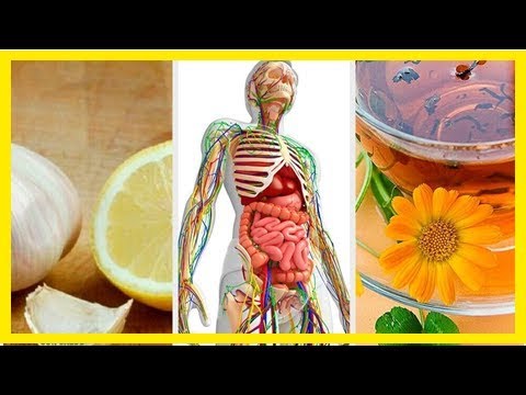 6 natürliche Mittel zur Entgiftung des Lymphsystems