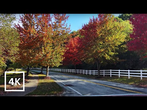 4K Autumn afternoon walk through Cranberry Township, PA neighborhood