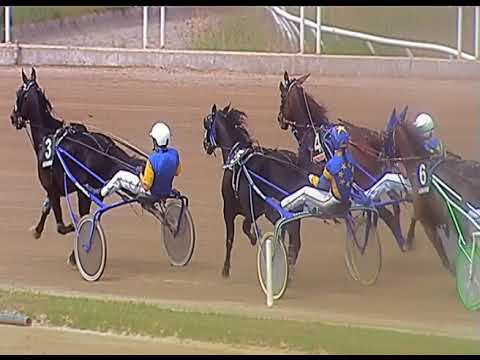 Trotto 13/06/2020 - 3ª corsa