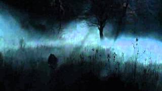 Cryptic Wintermoon - Nocturnal Whispers