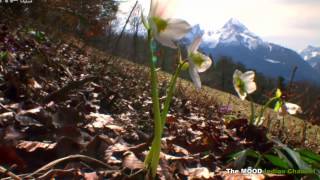 Save Yourself For Me