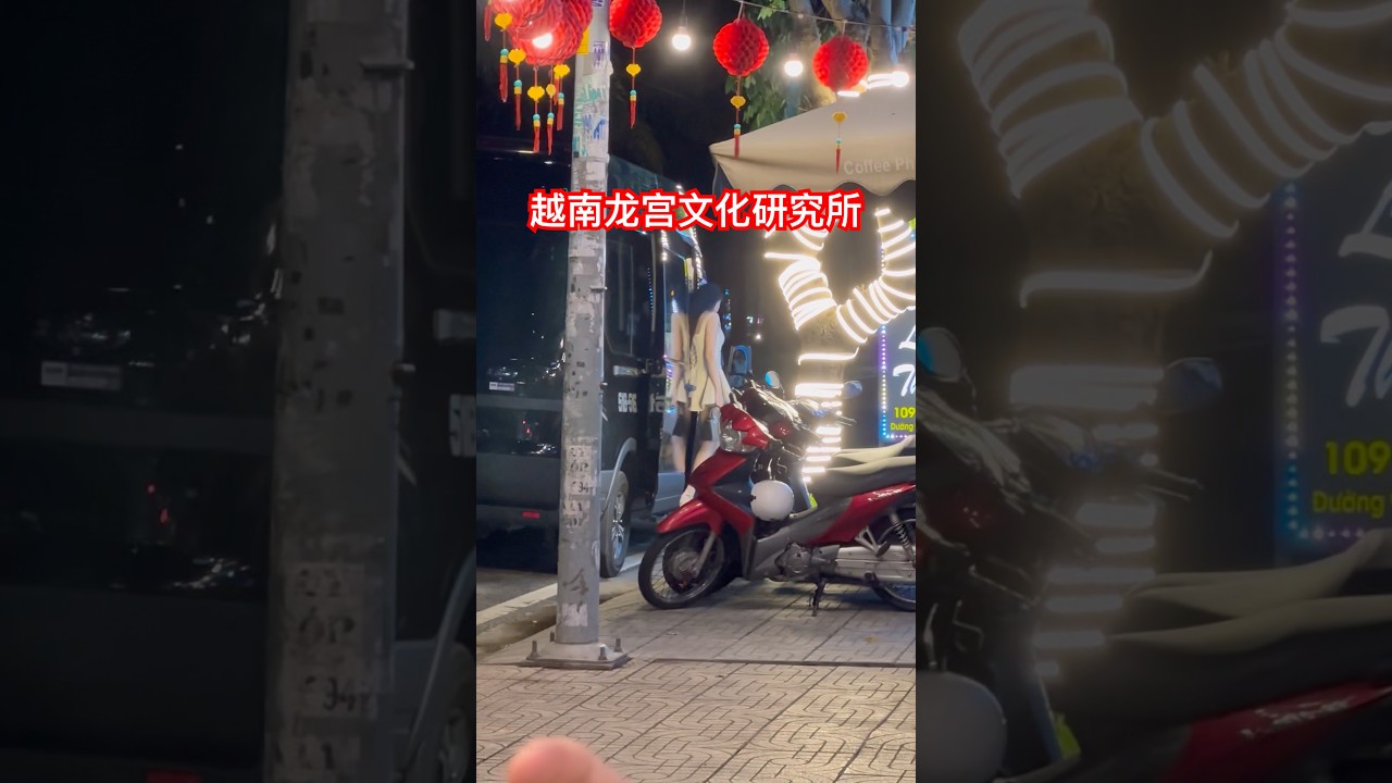 越南龙宫文化艺术团 #越南 #越南旅行攻略 #越南旅游 #熱門