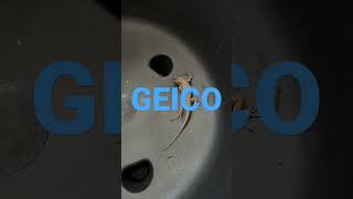 GEICO 15 Minutes Could Save You 15% Or More On Car Insurance