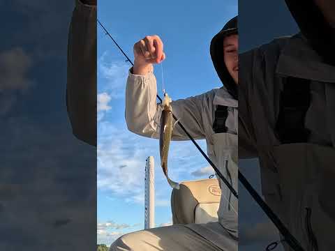 Jigging For White Perch SO EASY!!
