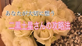 サンプル動画