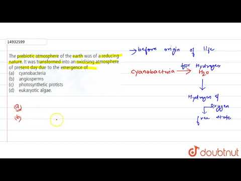 The prebiotic atmosphere of the earth was of a reducing nature. It was transformed