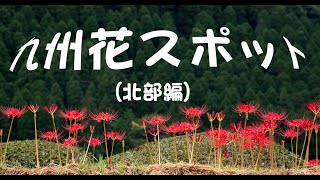 九州花スポット（北部編）
