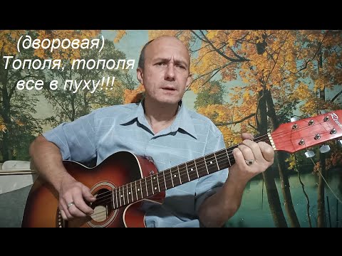 Песня тополя все в пуху потерял. Гифы тополя все в пуху. Тополя песня слушать. Тополя все в пуху. Тополя деревца зеленые.