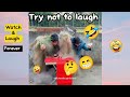 New Funny & Hilarious Video People's Enjoy Happy Life #8😂 | Try Not To Laugh Funny Videos 2024🤣