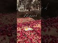 Miss U Abbu Ji Bhut Yaad Aati Danishkhanvlogs